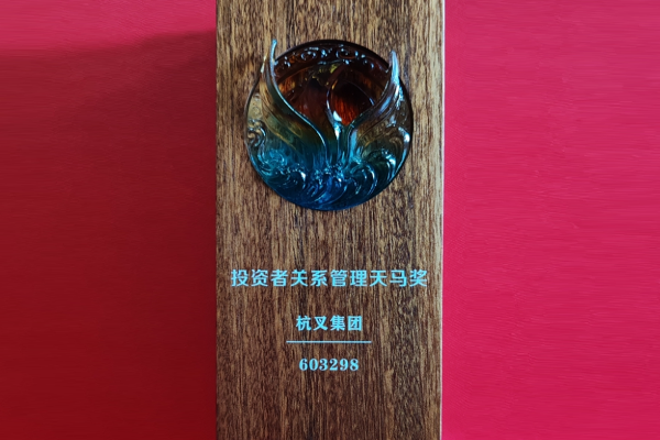 喜報(bào)！杭叉集團(tuán)榮獲第十六屆中國上市公司投資者關(guān)系管理天馬獎(jiǎng)